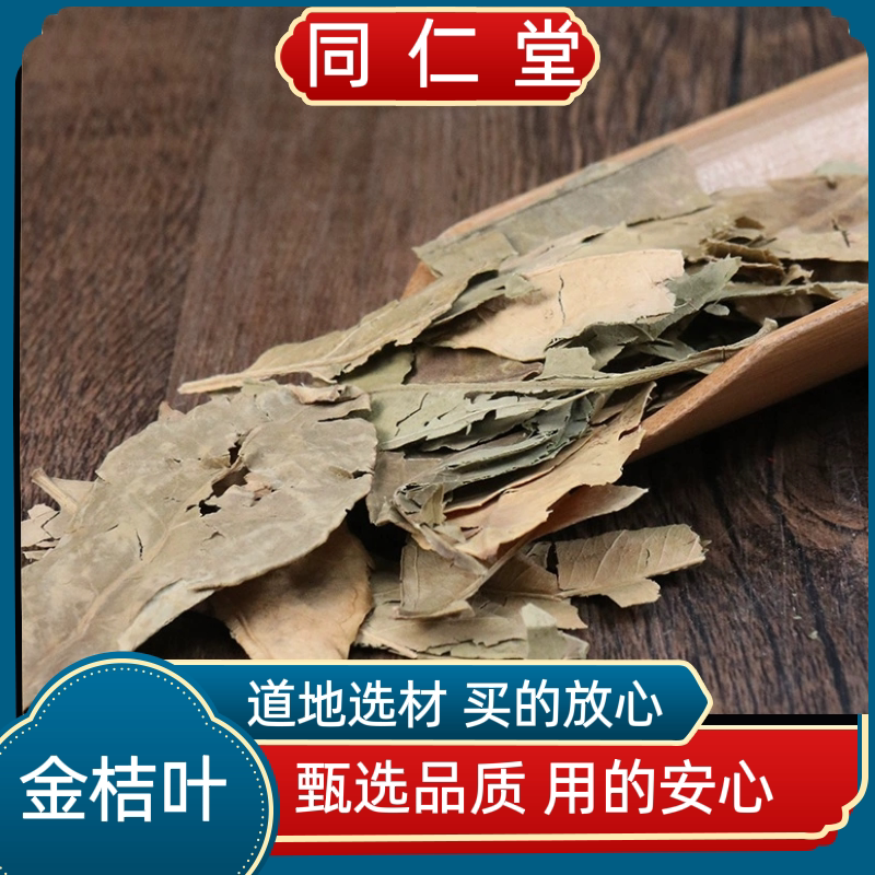 同仁堂中药材金桔叶 金橘叶 橘子叶 橘叶 桔子叶橘叶茶新货上市
