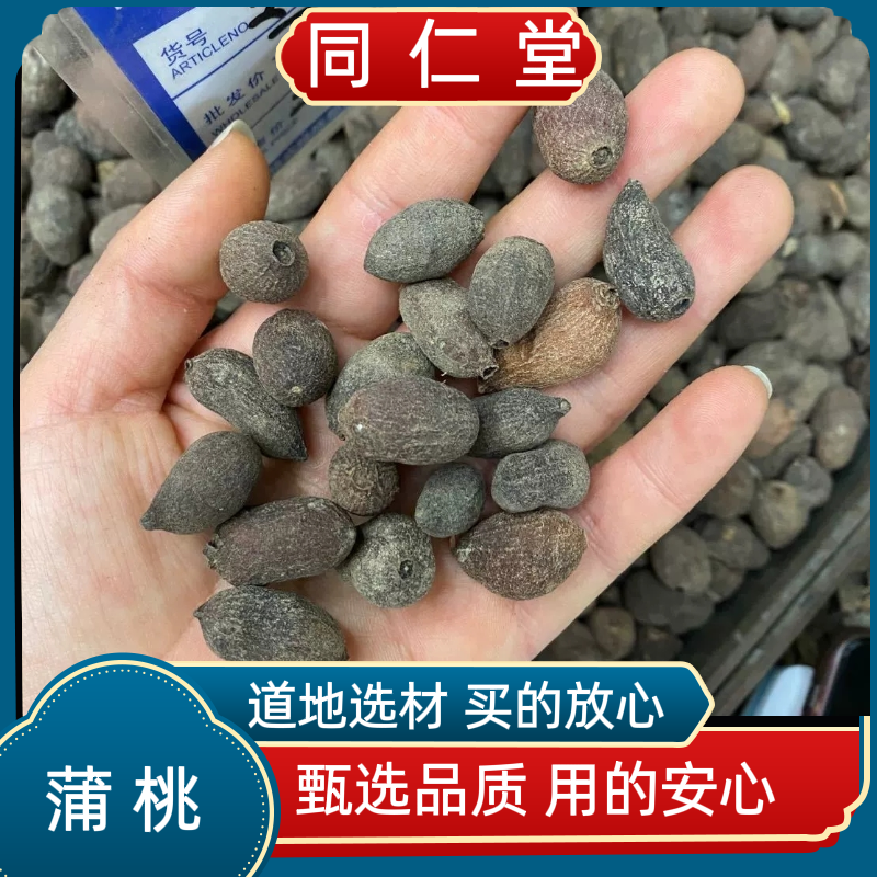 同仁堂中药材 乌墨 蒲桃 乌楣 羊屎果 十年果 麻栗 山蒲桃 冬青果