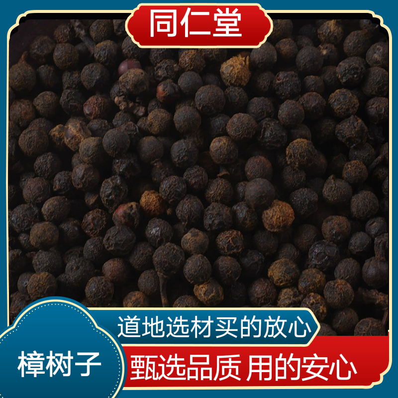 同仁堂中药材樟树子 香樟籽 樟木子香樟子 新货樟树子手选无杂质