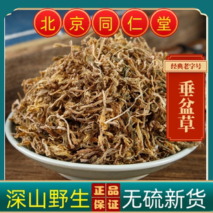 同仁堂垂盆草中药材垂盆草正品垂盆草新货无硫野生垂盆草茶泡水喝