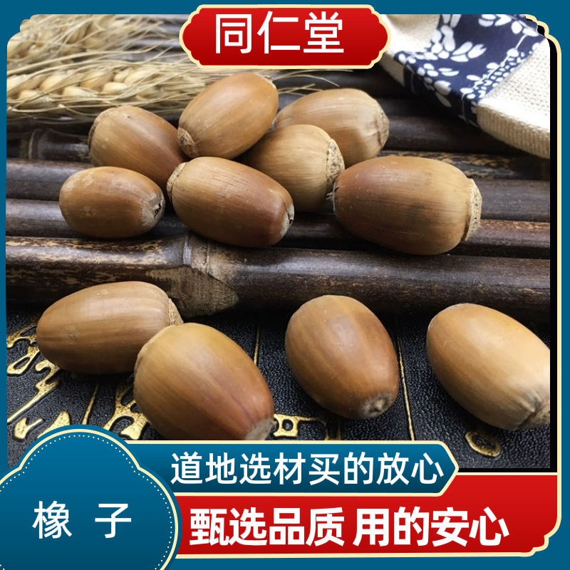 同仁堂中药材橡子 橡籽 橡实 栎树果 橡果橡栗正品包邮多规格可选