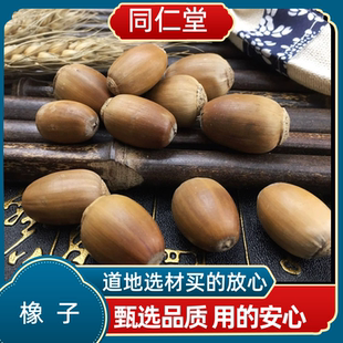 同仁堂中药材橡子 橡籽 橡实 栎树果 橡果橡栗正品包邮多规格可选