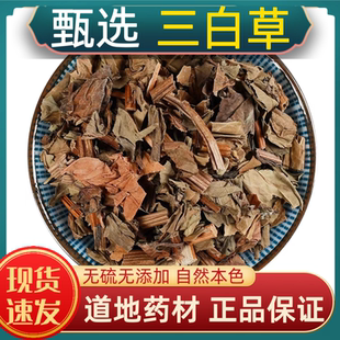 三白草中药材三白草野生水木通 五路白 白水鸡 田三白 新货上市