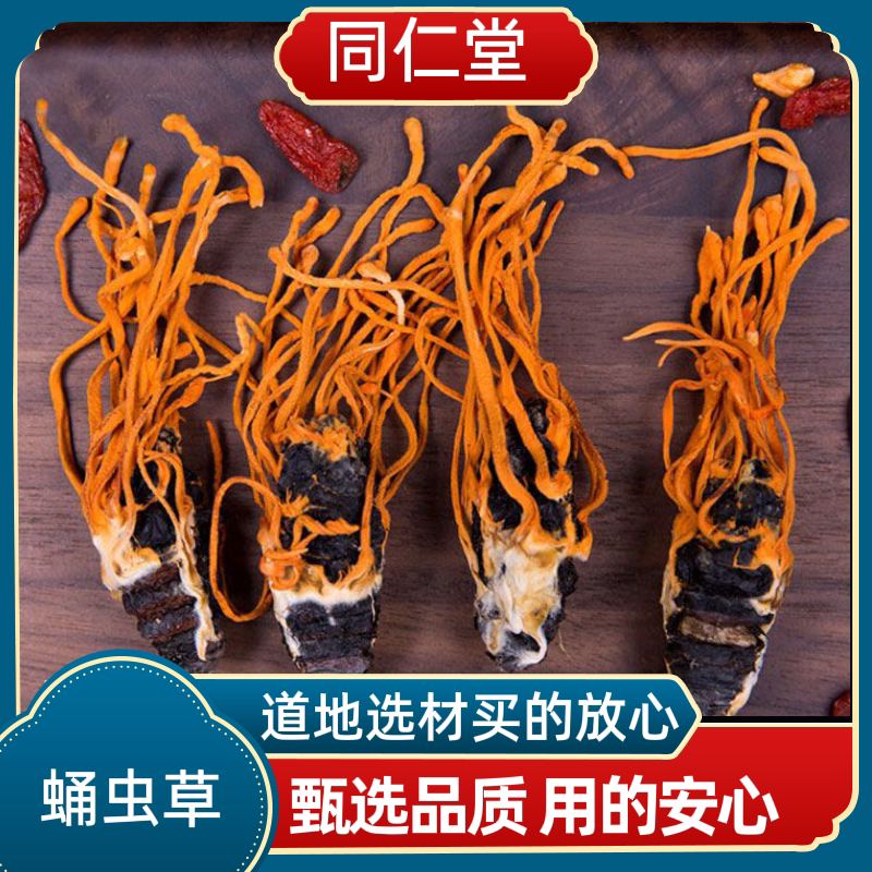 同仁堂中药材真蛹虫草带蛹体北冬虫夏草孢子头野生干货煲汤泡酒