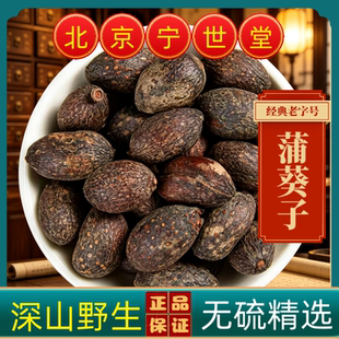 蒲葵子中药材蒲葵子野生葵树子葵树籽葵扇子葵扇籽蒲葵子蒲扇种子