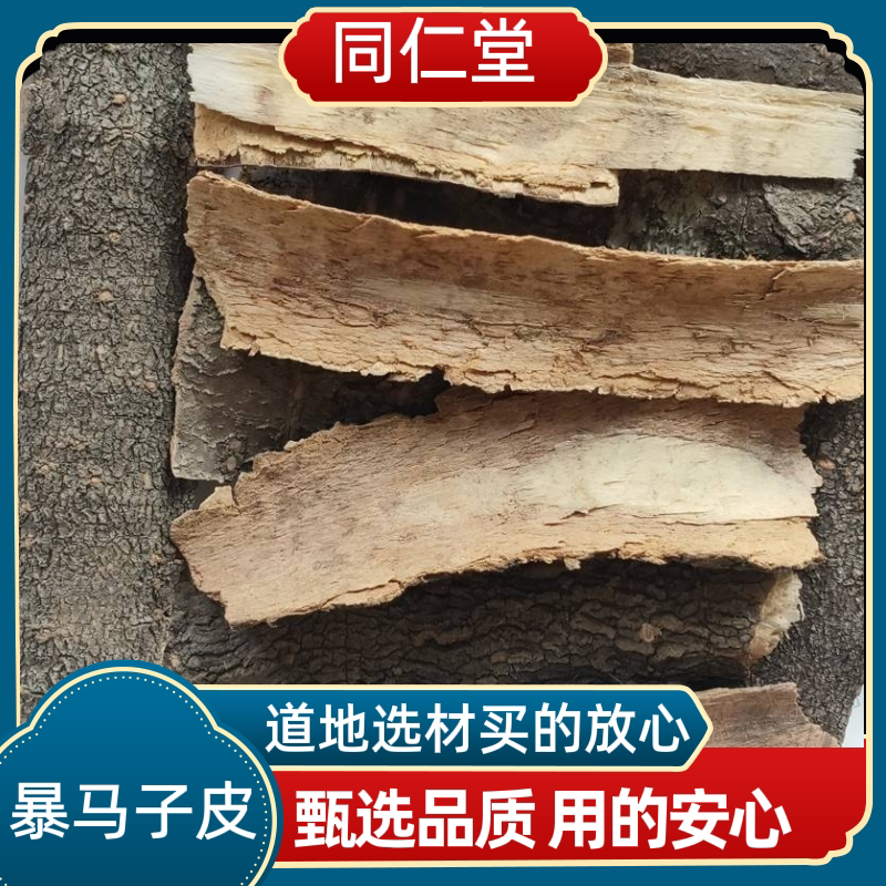 同仁堂中药材 暴马子皮 棒棒木 暴马丁香树皮 丁香皮新鲜干货无硫