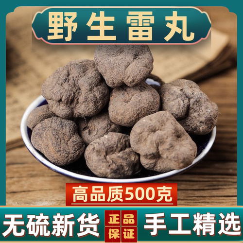 雷丸中药材雷丸正宗野生雷丸可磨雷丸粉竹林子木连子正品雷丸新货