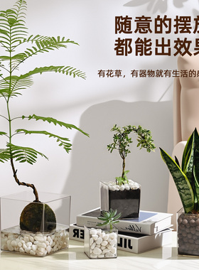 透明亚克力方形花盆水培绿植郁金香多肉花瓶方缸器皿摆件仿玻璃小