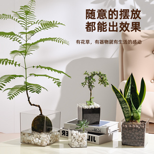 透明亚克力方形花盆水培绿植郁金香多肉花瓶方缸器皿摆件仿玻璃小