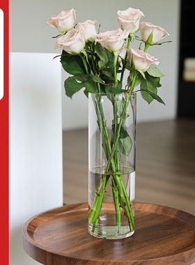 亚克力防摔花瓶摆件客厅插花透明富贵竹水培器皿轻奢高级感醒花桶