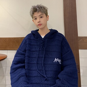 2024秋冬连帽刺绣男扭花毛衣个性针织衫 B213-8079-P80控98图片