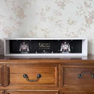 泡泡玛特TINYTINY开场白展示盒框盲盒框防尘真玻璃收纳盒带背景图