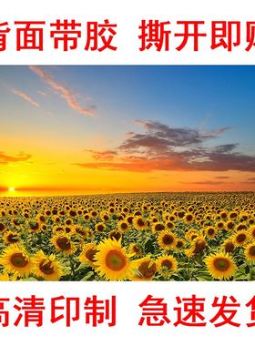 向日葵墙上自贴装修装饰画客厅沙发背景墙贴壁画贴纸自粘图片海报