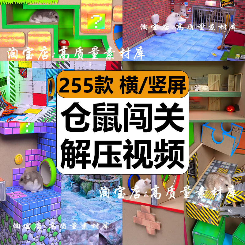 国外小仓鼠闯关搞笑治愈游戏模拟减解压高清视频抖音小说推文素材