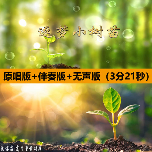 逐梦小树苗歌曲伴奏少儿舞蹈演出晚会舞台LED大屏幕背景视频素材