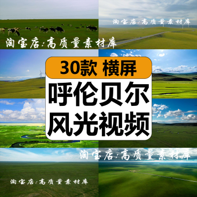 4K内蒙古呼伦贝尔大草原蓝天白云风光景航拍高清LED背景视频素材