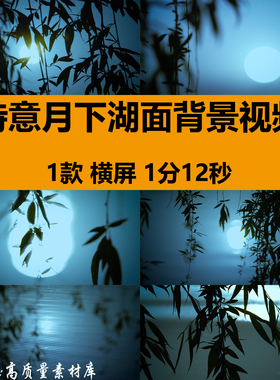 4K诗意月下湖面月上柳梢意境中秋节月亮月光倒影LED背景视频素材