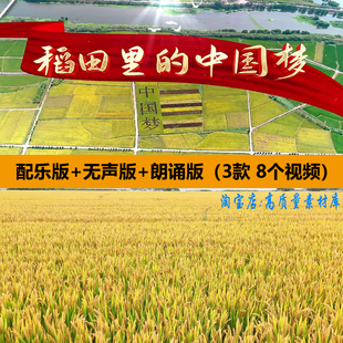 稻田里的中国梦怀念袁隆平青少年朗诵演讲舞台LED大屏幕背景视频