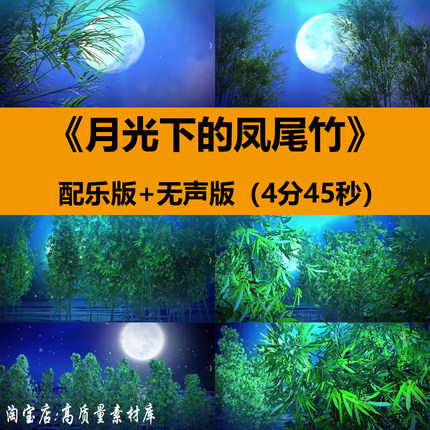 月光下的凤尾竹少数民族傣族舞蹈演出舞台LED大屏幕背景视频素材