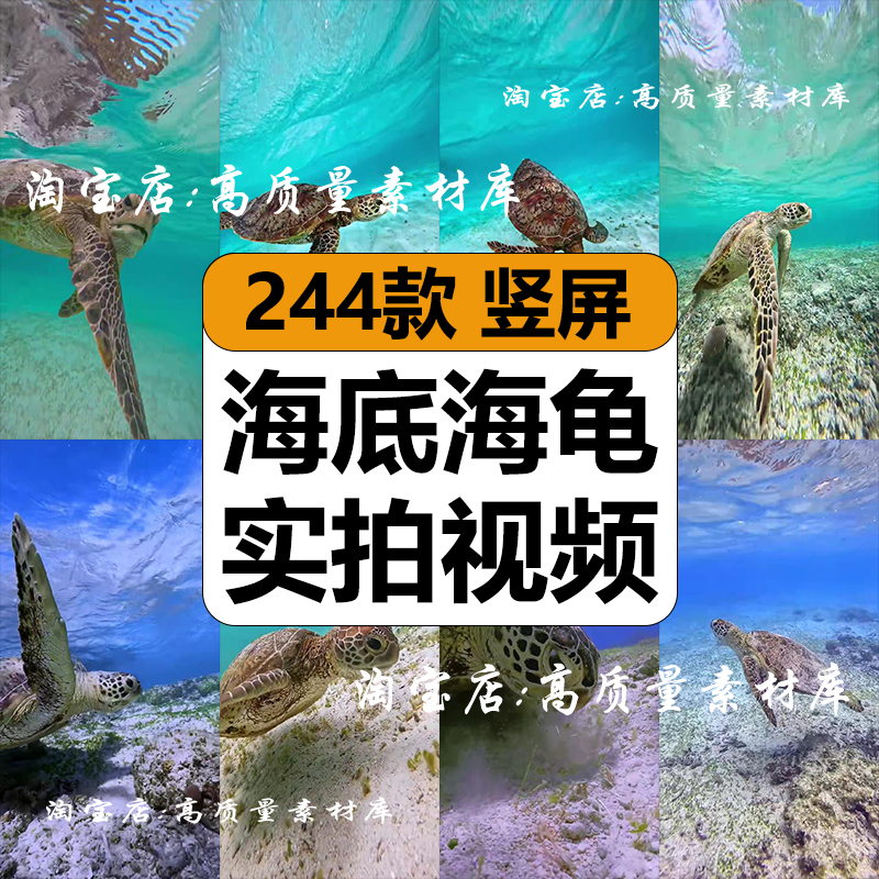 国外海底海龟游泳实拍海洋风光治愈风景高清短视频竖屏混剪辑素材