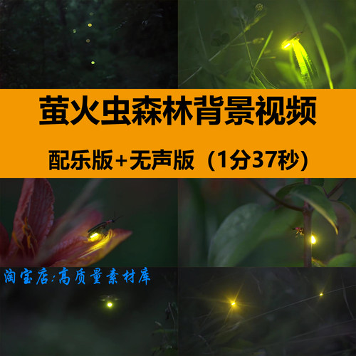 萤火虫森林夏夜晚星光野外乡村短片实拍舞台LED背景高清视频素材