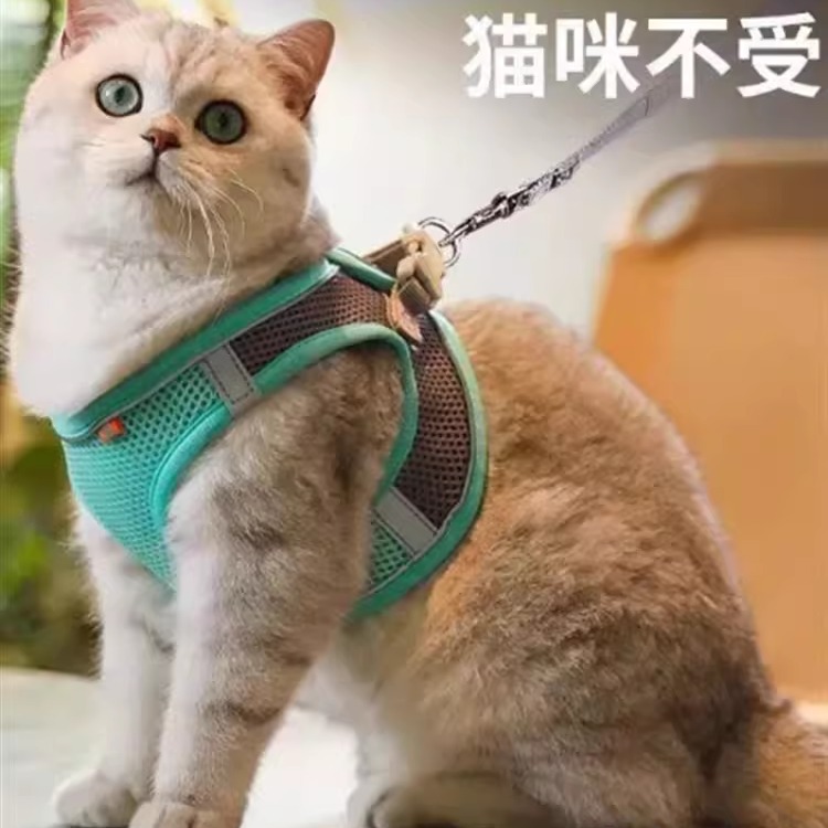 可调节防挣脱猫咪牵引绳