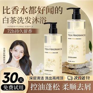 白茶香氛洗发水山茶花氨基酸洗发水沐浴露持久留香保湿 洗护套装