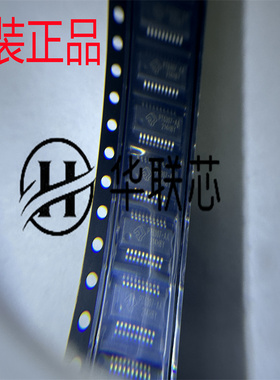 原装正品 PT6307ESST-AA 封装SSOP-20 全新锂聚合物电池保护 芯片