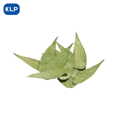 酒吧饮品调酒装饰枫叶竹叶干花叶子鸡尾酒装饰物酒杯酒签植物标本