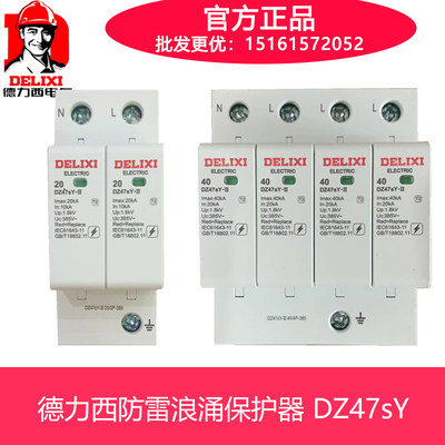 浪涌保护器电涌家用防雷器 DZ47sY 2P 40KA 4P 65KA 220V