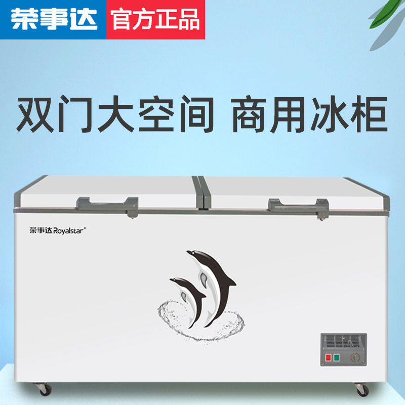荣事达双开门全冷冻柜冰柜商用大容量大冷柜冷藏家用卧式冻货冰箱