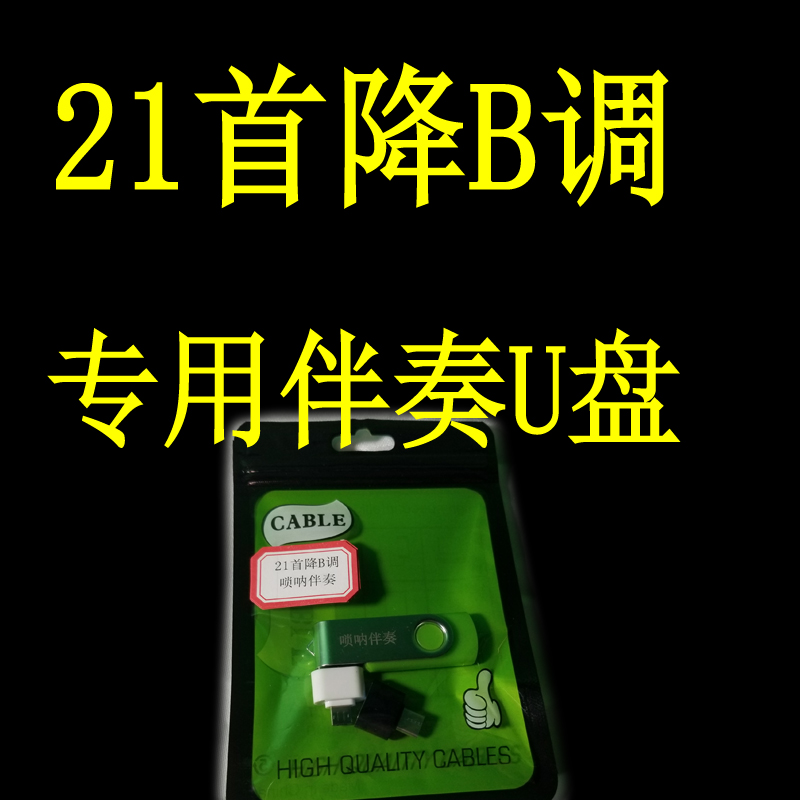 唢呐21首降B调伴奏U盘专用伴奏音乐21首河南专用精品