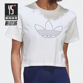 女运动休闲透气宽松短袖 三叶草新款 T恤HK5178 阿迪达斯正品 Adidas