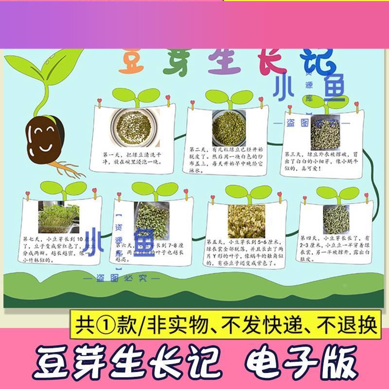 电子版自然笔记小报豆芽植物成长记录手抄报蒜苗生长观察日记A34