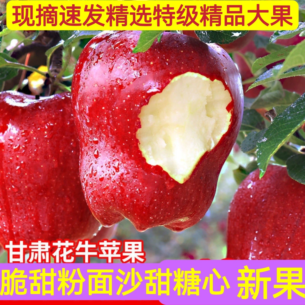 现货陕西红元帅天水花牛苹果新鲜苹果