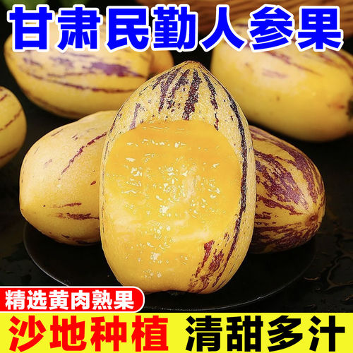 甘肃民勤人参果新鲜水果人生果应季当季现摘现发孕妇宝宝辅食纯甜