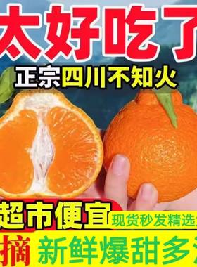 正宗四川丑橘不知火柑橘桔子精品大果整箱金桔现摘新鲜孕妇水果9J