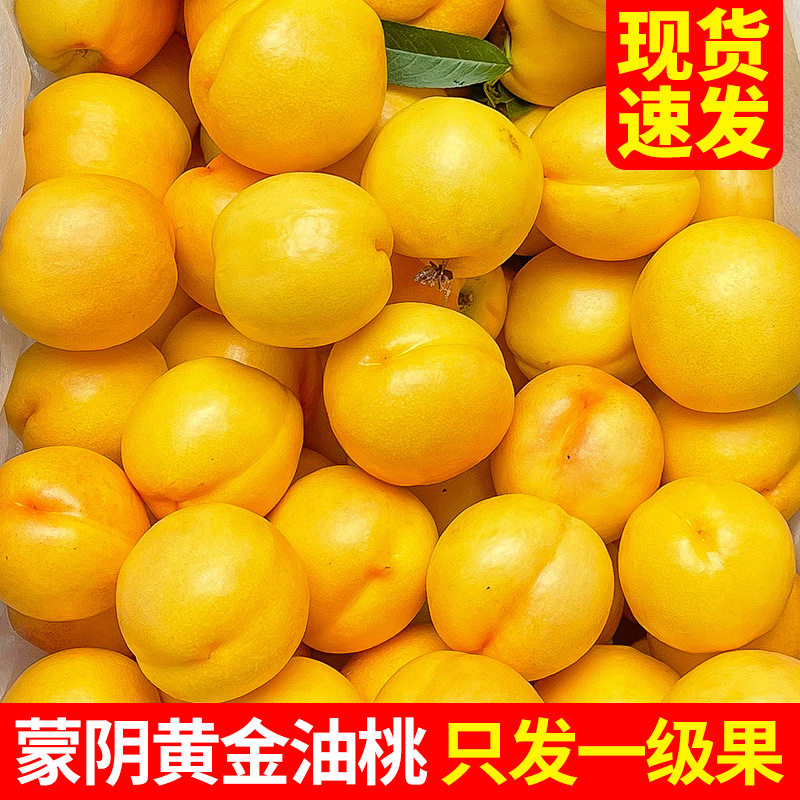 脆甜黄金油桃水果新鲜当季应季山东蒙阴黄桃黄金蜜桃孕妇大果头茬