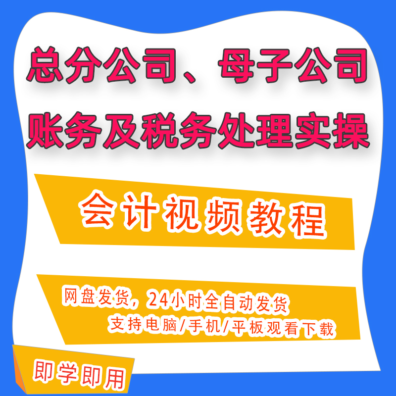 总分公司母子公司账务及税务处理实操会计实务做账实训教程B33 商务/设计服务 设计素材/源文件 原图主图