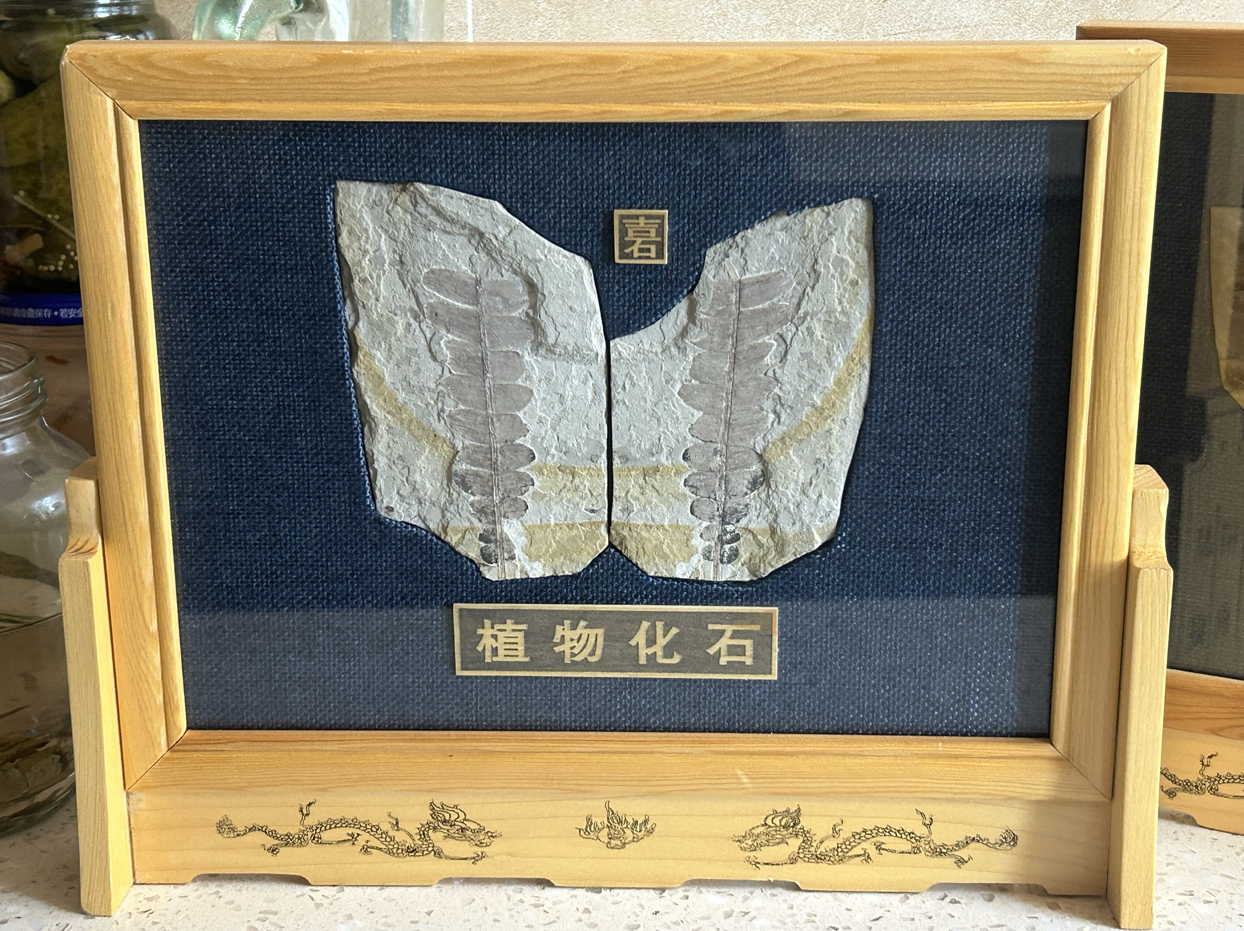 特价冲量辽西古生物鱼化石狼鳍鱼化石朝阳货真价实原板热河生物群