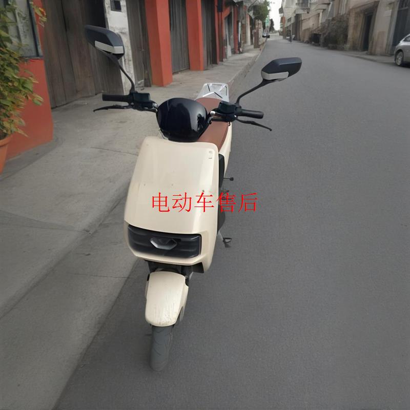 适用大环电动车外壳坦克捷豹王品灯具金箭绿驹绿佳电动车外壳前围