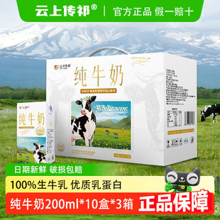云上传祁纯牛奶10盒3箱小飞天营养儿童早餐全脂优质蛋白钙学生奶