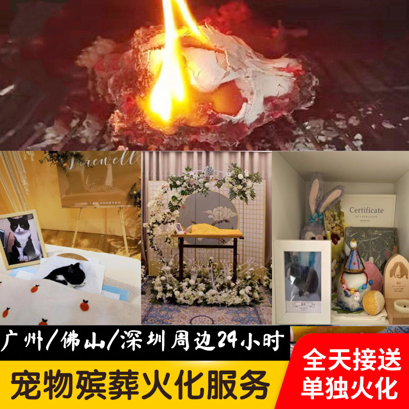 深圳宠物火化殡葬广州佛山猫咪火葬狗狗安乐动物墓地殡仪善终上门