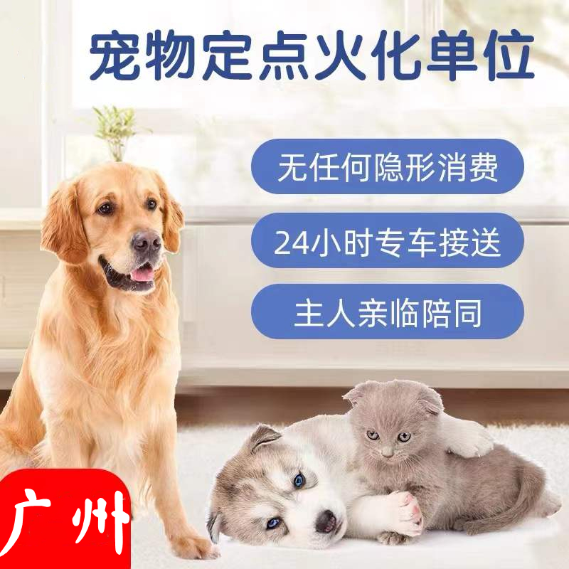 广州白云宠物动物火化殡葬葬礼善终安乐猫猫狗可全程陪同动物火葬