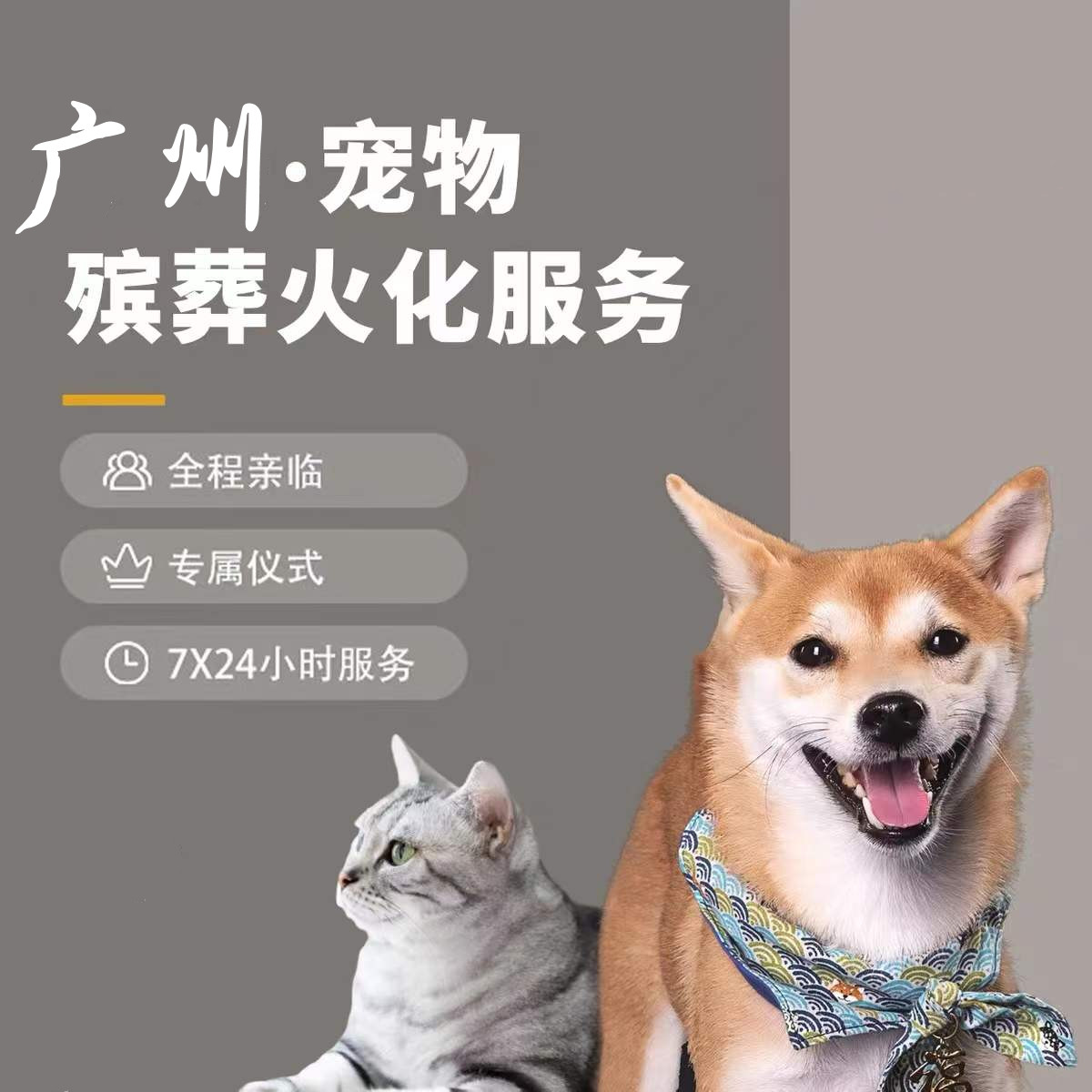 广州番禺宠物火化宠物殡葬善终狗狗猫咪鼠兔火葬动物安乐上门服务