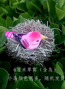 草屑仿真鸟窝鸟巢套装（含鸟）干草编编小鸟窝内含一只小鸟