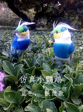 特价款仿真小鹦鹉蓝金刚泡沫小鸟腹部带铁丝扦插捆绑外贸尾货清仓