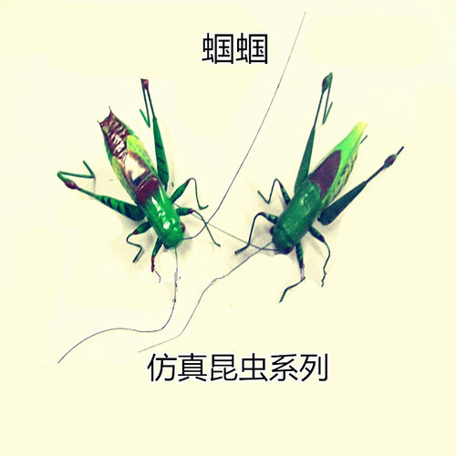 仿真昆虫 蝈蝈 粘土昆虫 仿真动物 昆虫模型 昆虫冰箱贴