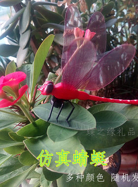 仿真塑料大蜻蜓12厘米磁铁