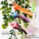 仿真小鸟模型花园庭院创意布景幼儿园家居装 饰品摆件羽毛彩色假鸟